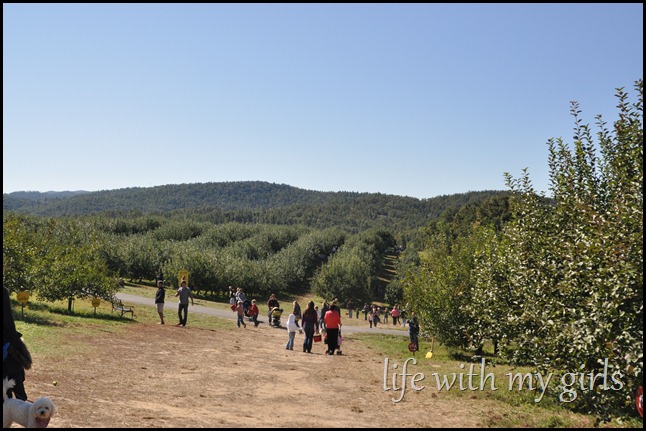 DSC_0270 DSC_0270