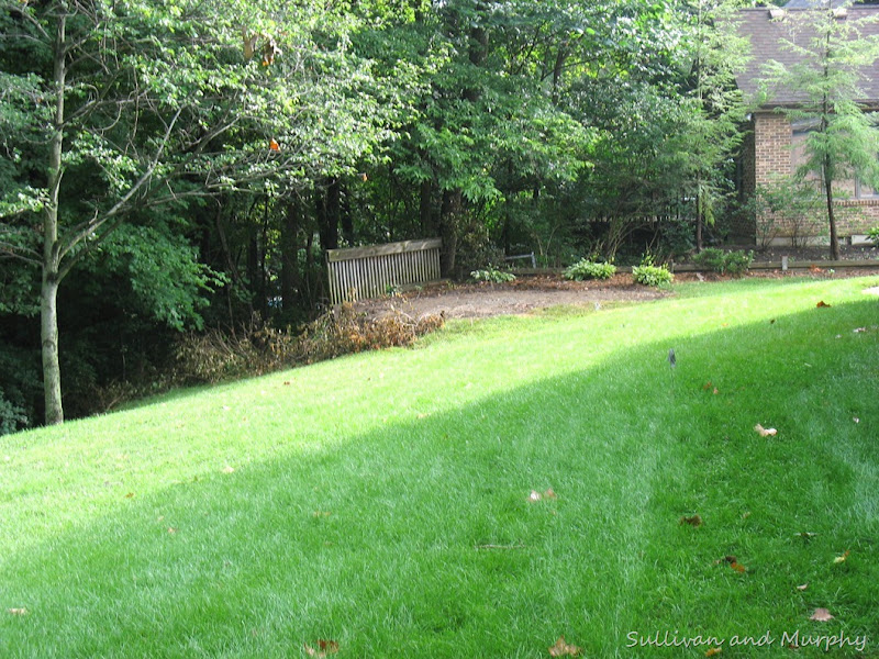 view north to old paver patio