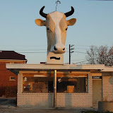 "Detroit Cow" - copyright David Thompson