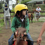 Berkuda (Horse Riding)
