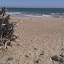 IMAG0009.jpg