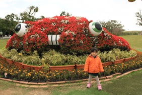 IMG_6496 IMG_6496