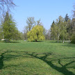 P1130374.JPG