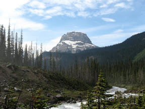 IMG_4890.JPG