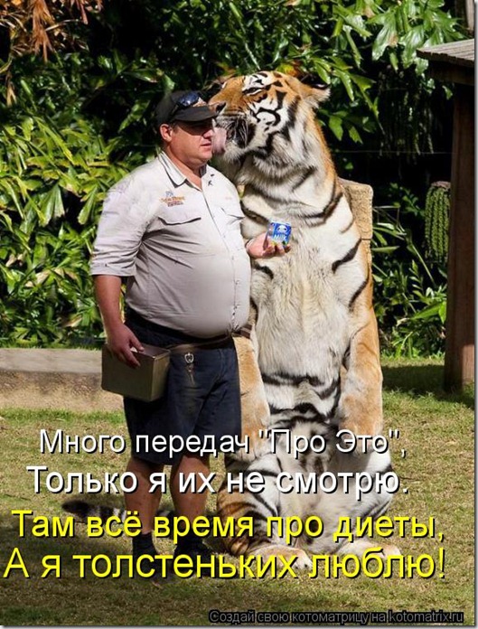1150991 1150991