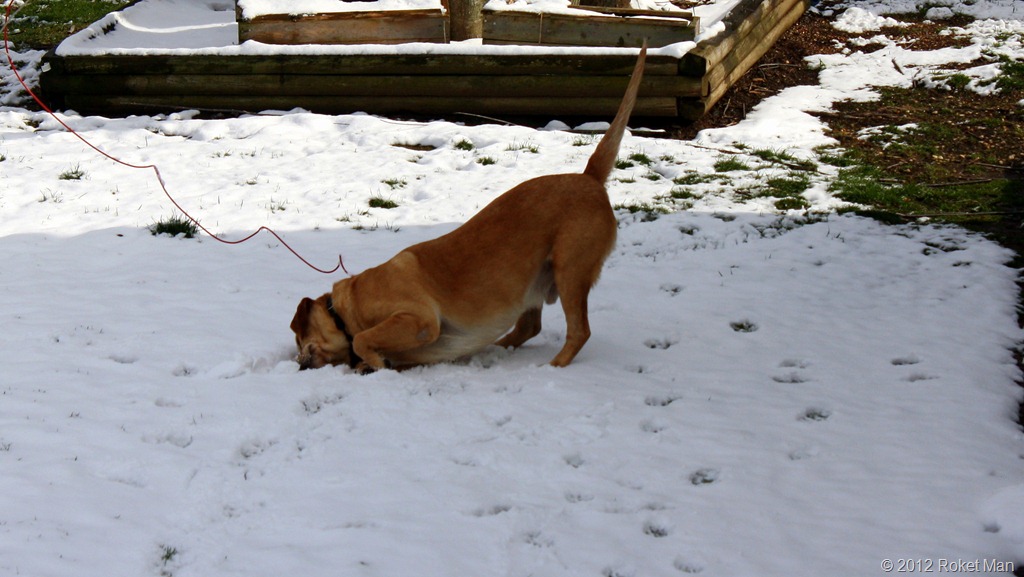 [IMG_24641.jpg]