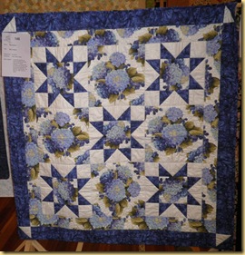 Bev's Quilt Ena B