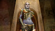 Dark Elven Warrior