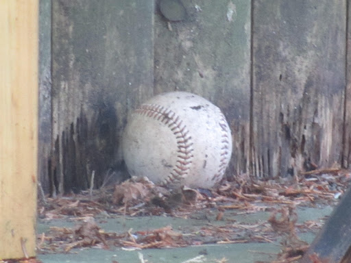 I'm thankful for baseballs, tennis balls and all balls really!