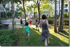 IMG_1469 IMG_1469