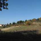 IMG_2325.jpg