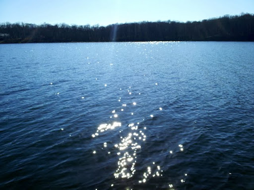Spring sun reflecting on the lake
