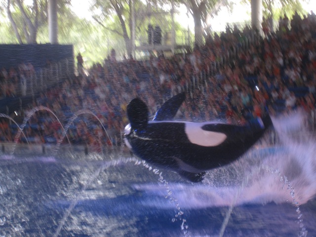 [IMG_7531%255B2%255D.jpg]