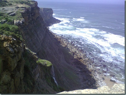 foto0124 foto0124