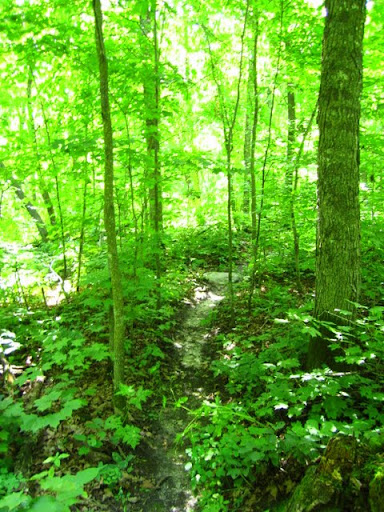 Deep woods singletrack-Twin lakes