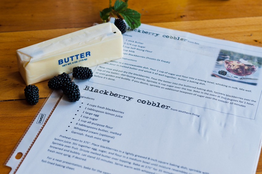[blackberry%2520cobbler-3472%255B3%255D.jpg]