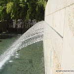 DSC02954.JPG