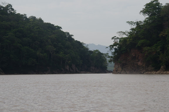 Des Yungas au Beni - Le Rio Beni en aval de l'entrée dans la Reserva de Biosfera de Pilón Lajas (Beni, Bolivie), 27 octobre 2012. Photo : C. Basset