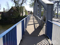 dsc06362.jpg