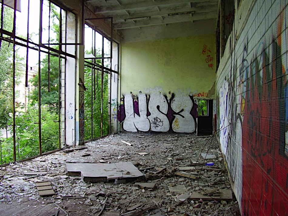 P8280495.JPG