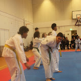 IMG_6376.jpg