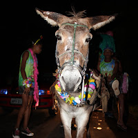  Carnaval_Cantanhede_Bloco_Cana_Limao_2012