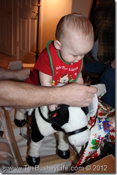 IMG_0639 IMG_0639