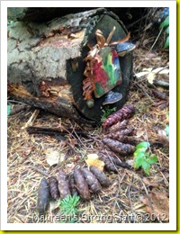 IMG_0901 IMG_0901