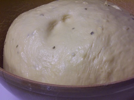 [cheese-chive-challah%2520016.jpg]