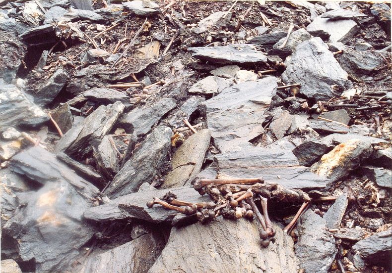 roopkund-9