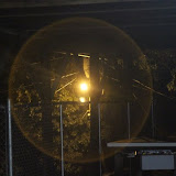 middle week 2011 - IMG_1040.JPG