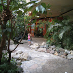 IMG_2753.JPG