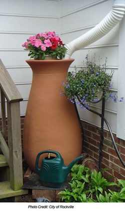 [rockville%255B5%255D.jpg]