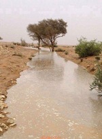 سال سيل الأنس سال سيل الأنس
