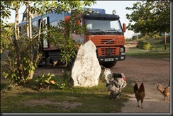 Menagerie camp Menagerie camp