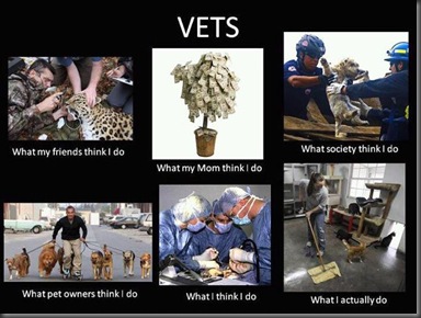 2325_Vet 2325_Vet