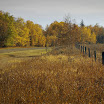 2008-10-05 C&E Trail 059a.jpg