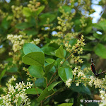IMG_6756.JPG