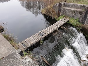 Niesamowita historia zwykłej rzeczki (Ołobok w lubuskiem) dsc04558.jpg