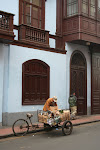 Collecting recyclables, Lima, Peru. (October 2008)