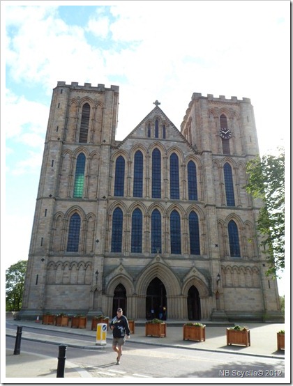 SAM_3230 SAM_3230