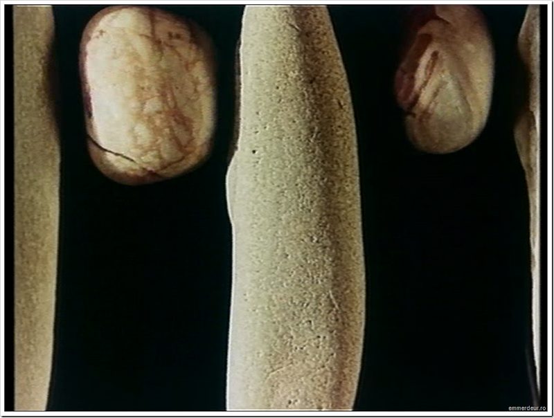 jan svankmajer a game with stones 1965 emmerdeur_198 jan svankmajer a game with stones 1965 emmerdeur_198
