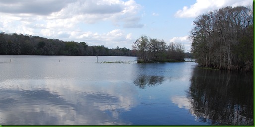 Suwanee River at Manatee Springs run