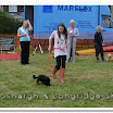 Pet Dogs 020.jpg