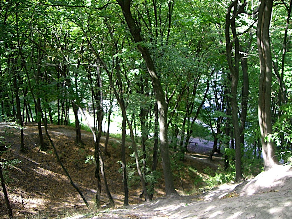 IMGP9167.JPG