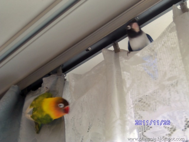 [PICT00582.jpg]