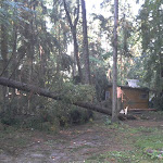 2012-08-06 17.56.15.jpg