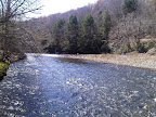 IMG00047-20100412-1046.jpg