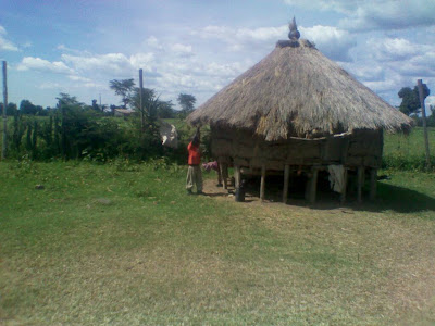 Mulot