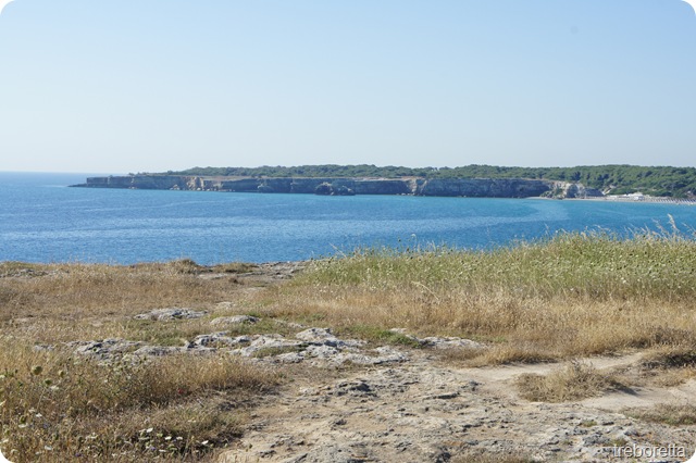 DSC00003 DSC00003